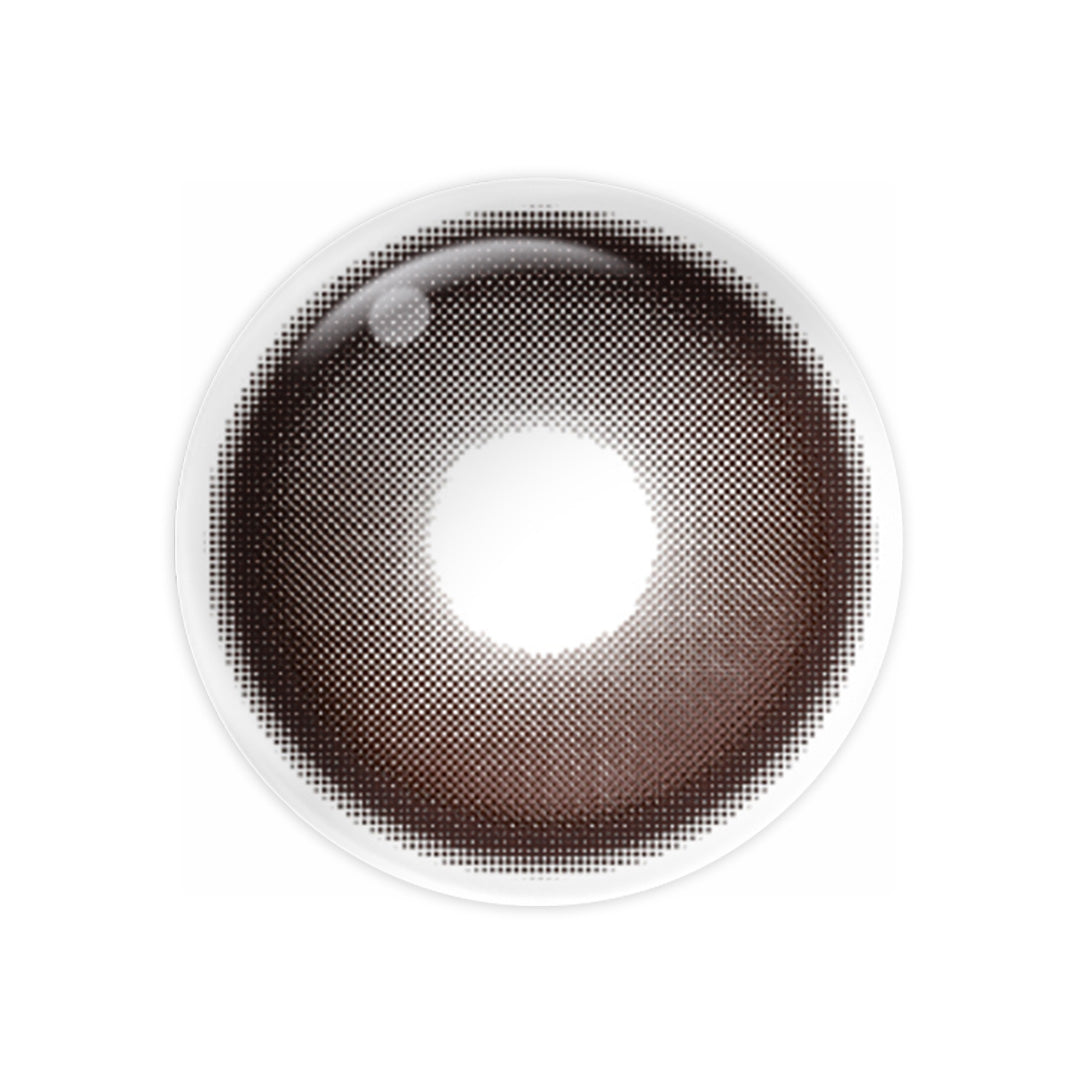 Magister Lumina Honey Coco Colored Contacts