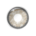 Magister Iris Choco Gray Colored Contacts