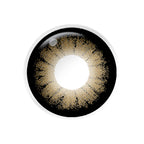 Magister Supersize Brown Colored Contacts