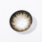 Magister Supersize Brown Plus Colored Contacts