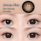 Magister Supersize Brown Plus Colored Contacts