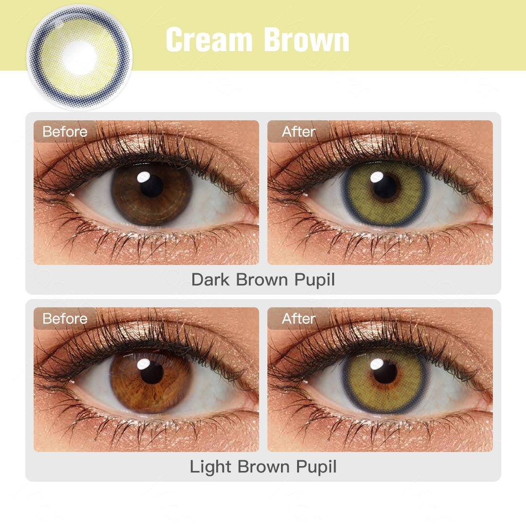 Magister Melody Cream Brown Colored Contacts