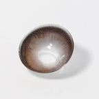 Magister Lumina Honey Coco Colored Contacts