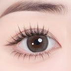 Magister Lumina Hazy Scroll Colored Contacts