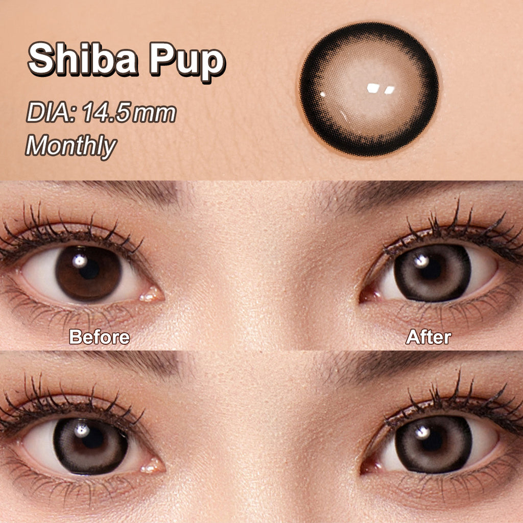 Magister Lumina Shiba Pup Colored Contacts