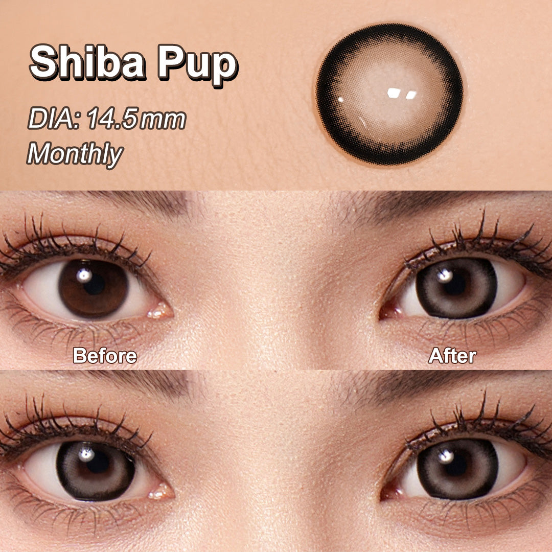 Magister Lumina Shiba Pup Colored Contacts