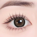 Magister Lumina Shiba Pup Colored Contacts