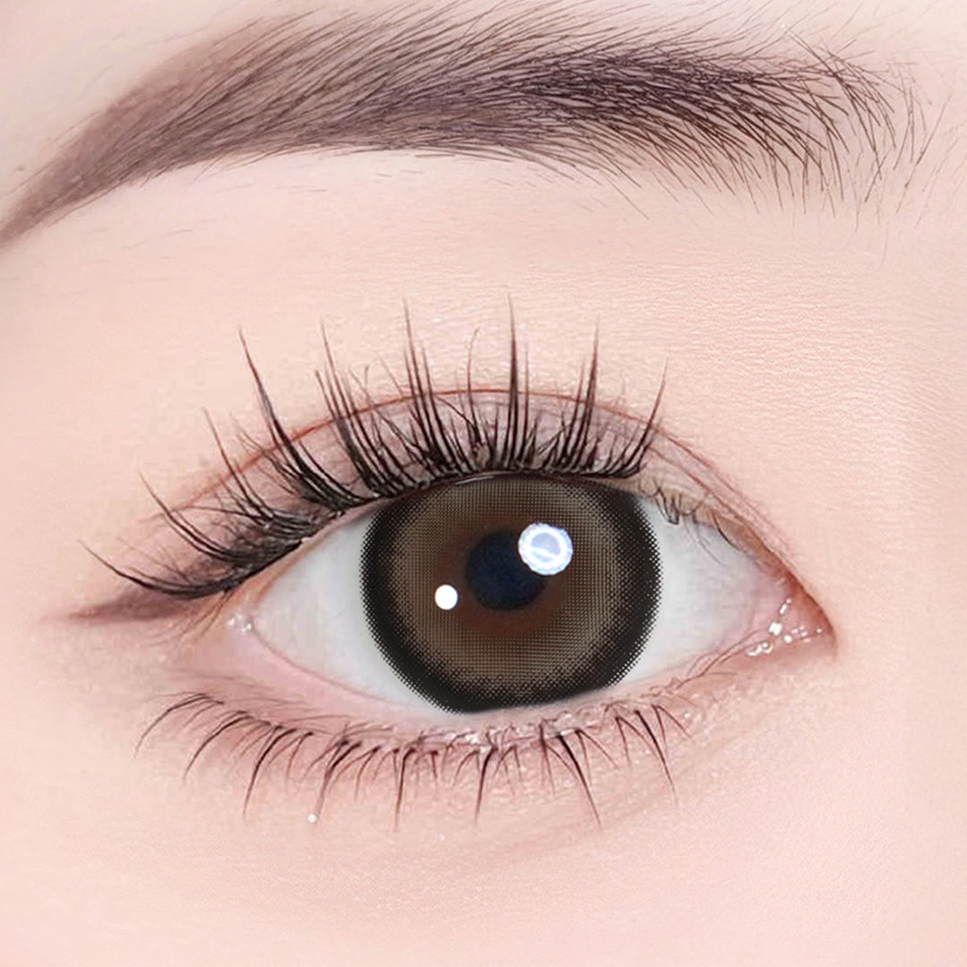 Magister Lumina Shiba Pup Colored Contacts