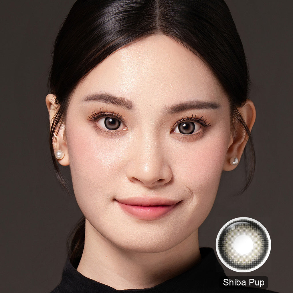 Magister Lumina Shiba Pup Colored Contacts