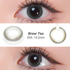 Magister Lumina Brew Tea Colored Contacts