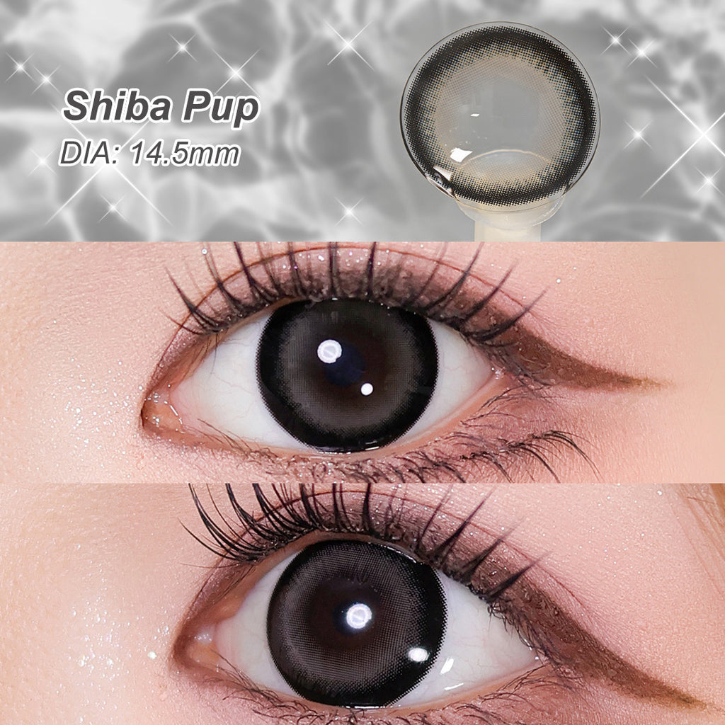 Magister Lumina Shiba Pup Colored Contacts