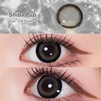 Magister Lumina Shiba Pup Colored Contacts