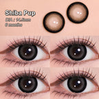 Magister Lumina Shiba Pup Colored Contacts