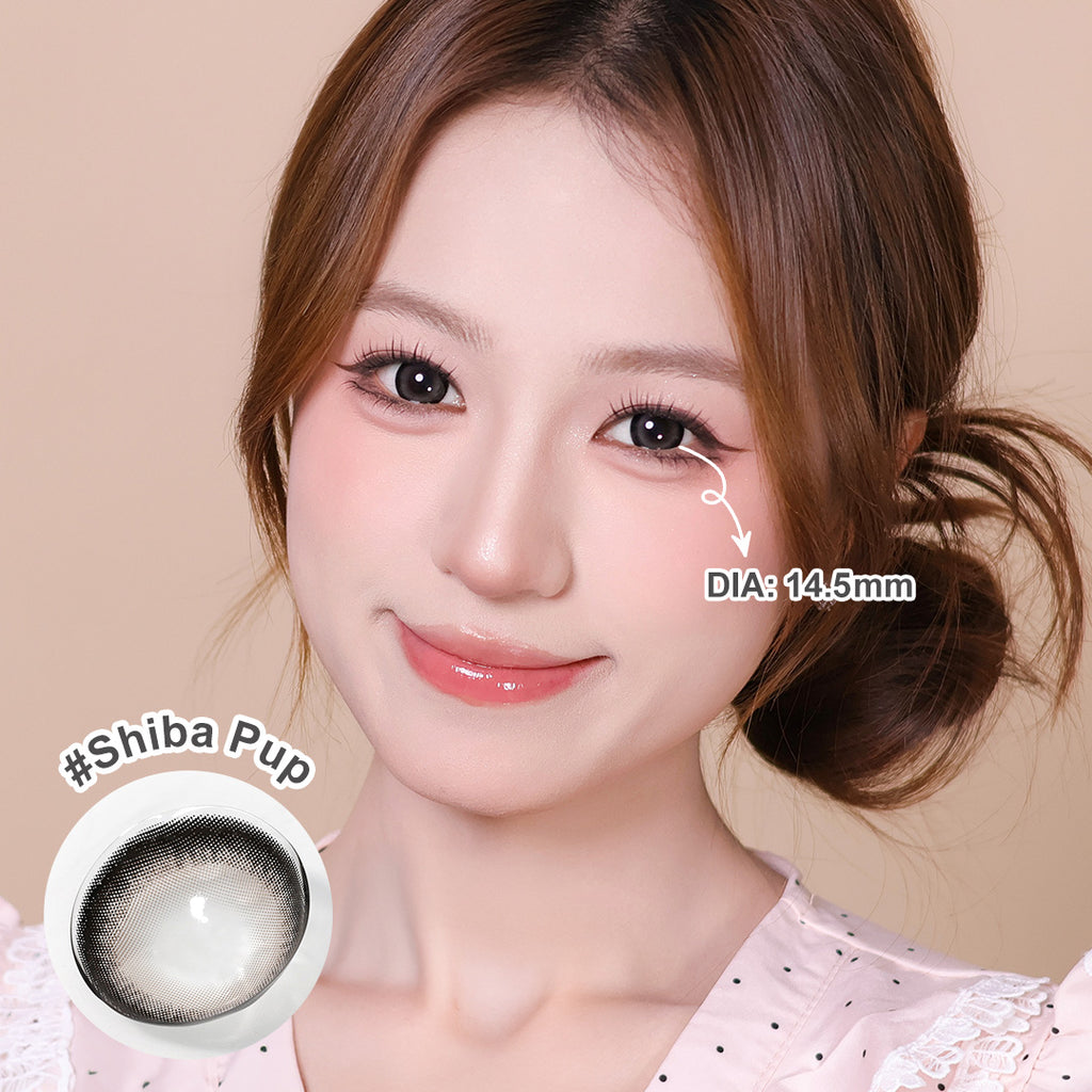 Magister Lumina Shiba Pup Colored Contacts