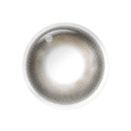 Magister Lumina Brew Oolong Colored Contacts