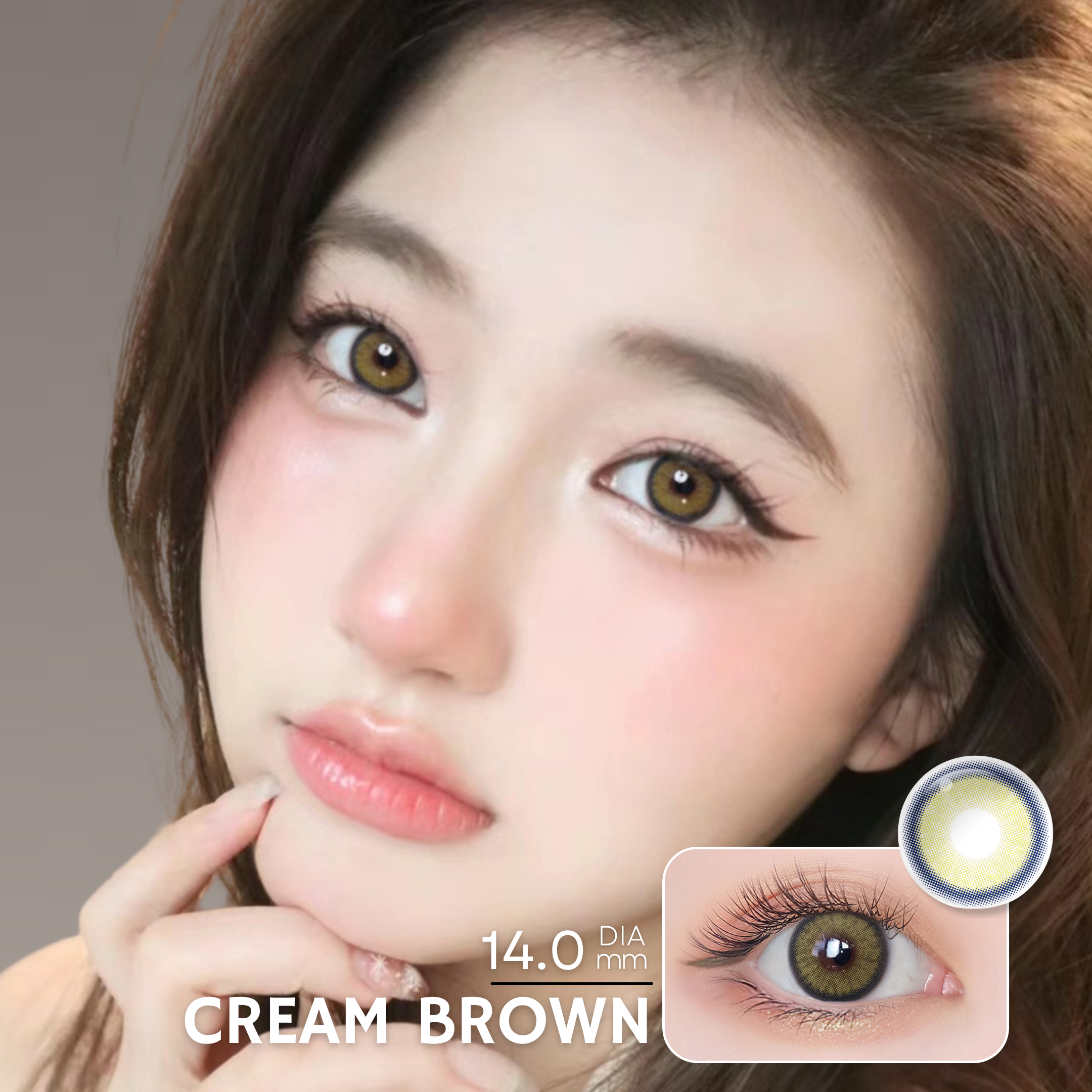 Magister Melody Cream Brown Colored Contacts