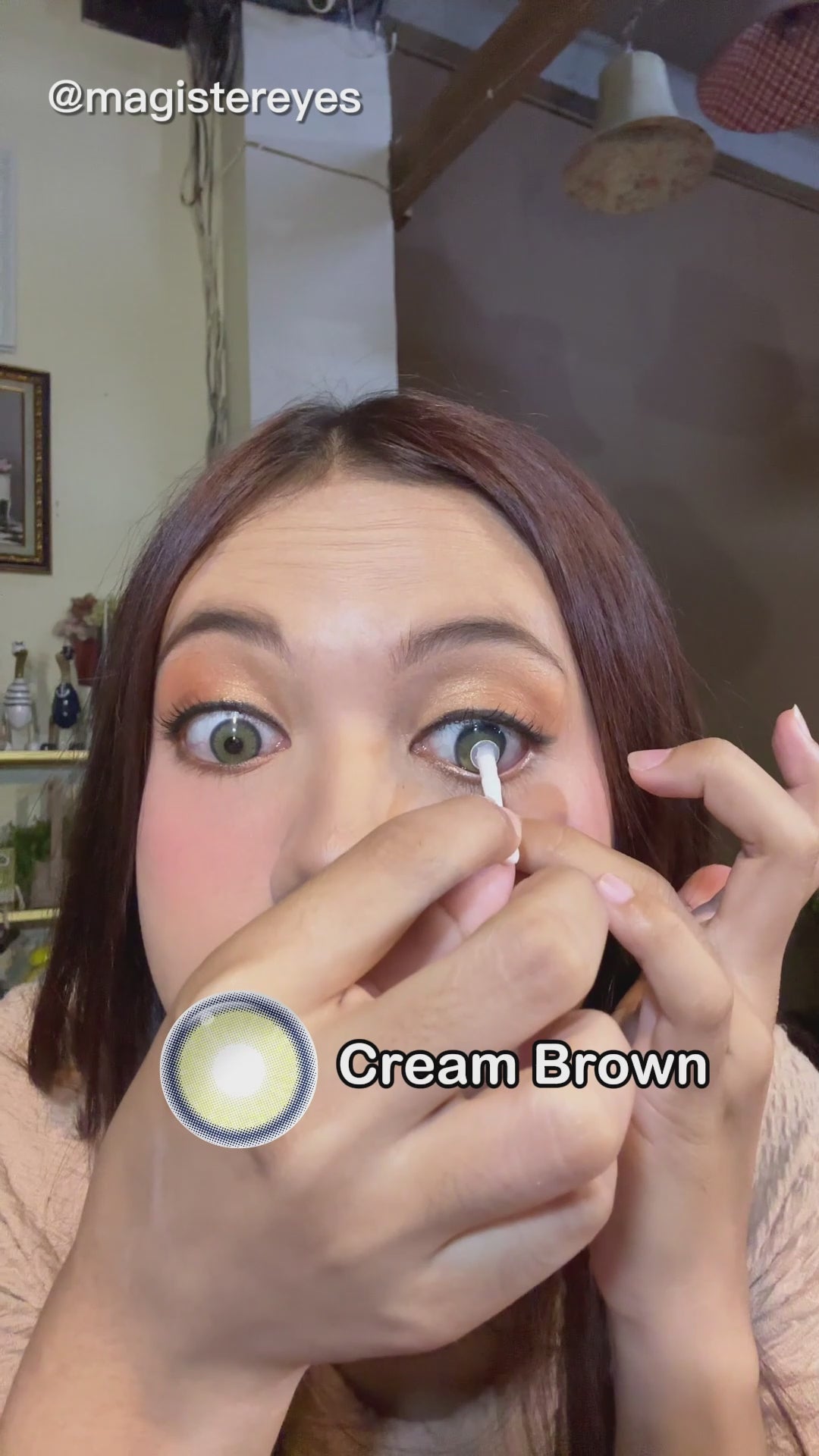 Magister Melody Cream Brown Colored Contacts