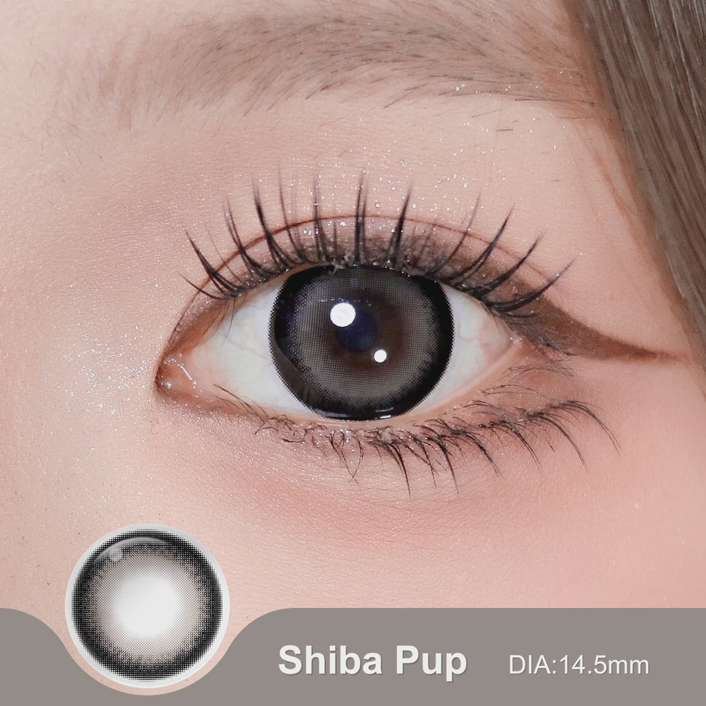 Magister Lumina Shiba Pup Colored Contacts